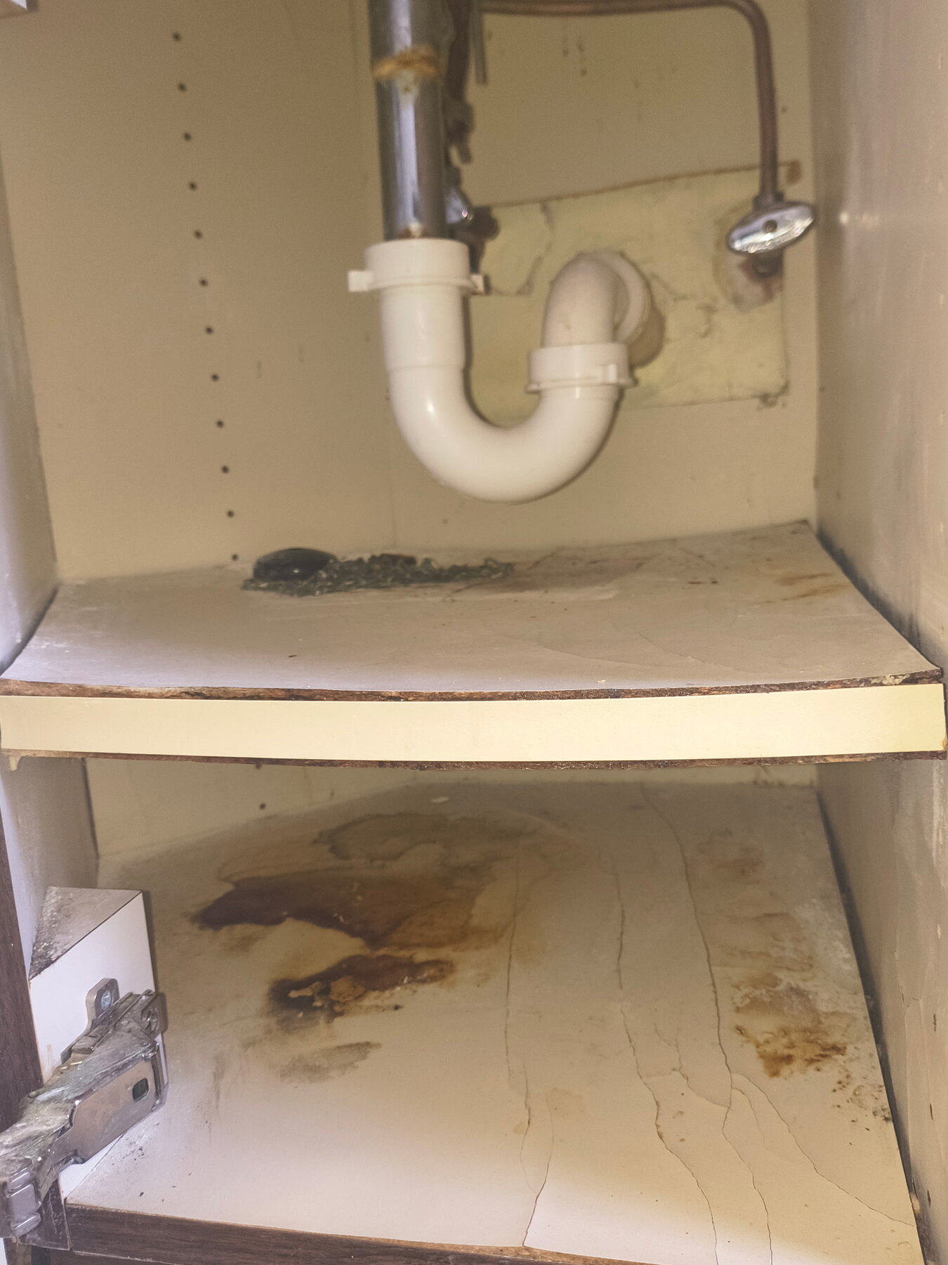 Leak detection under sink